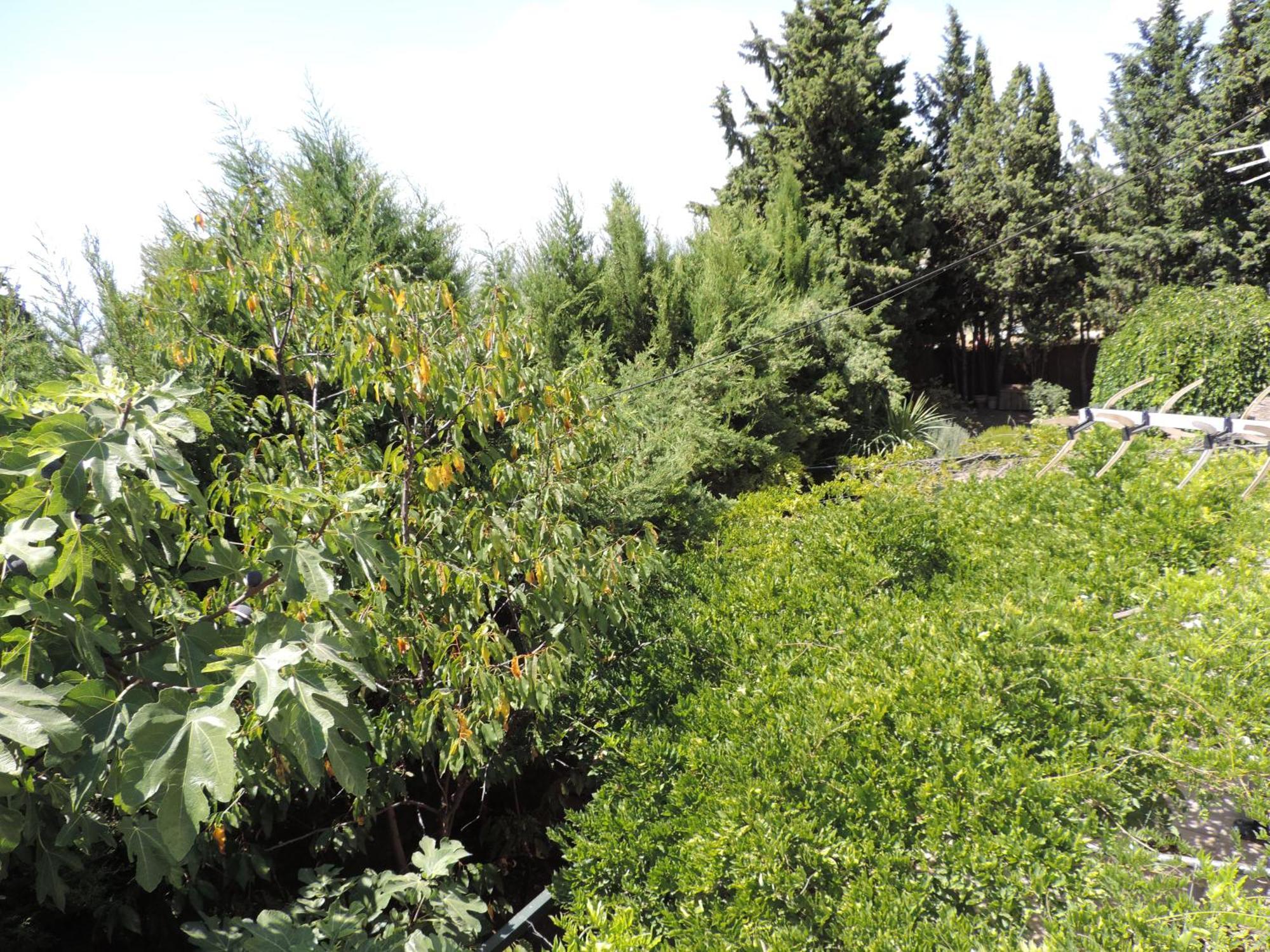 Casa Con Jardin Y Aparcamiento En Viznar, Junto A Granada Villa Exteriör bild